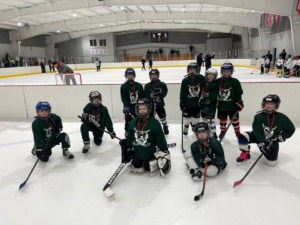 Sartell Youth Hockey Association Sponsorship U8