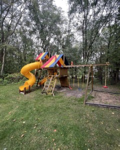 Specialty Play Set Move Sartell, MN
